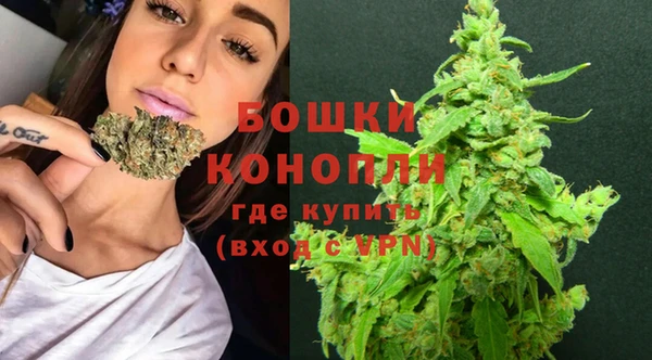 прущие крисы Верея