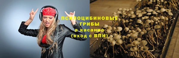 прущая мука Бронницы