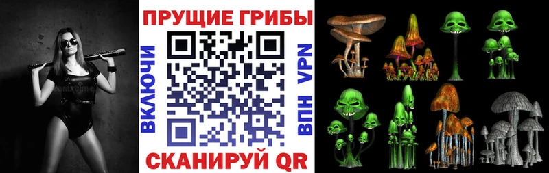 Галлюциногенные грибы Psilocybine cubensis  Ульяновск 